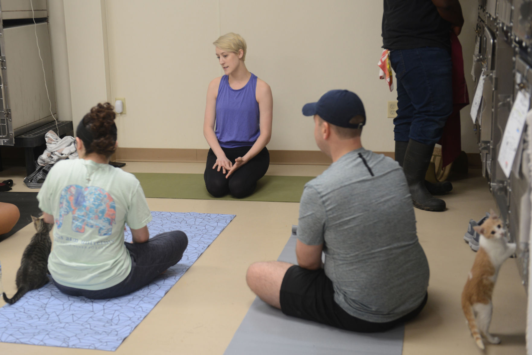 Cat Yoga at Aggieland Humane Society